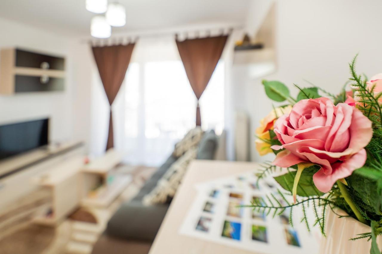 Dream Apartments Braşov Dış mekan fotoğraf
